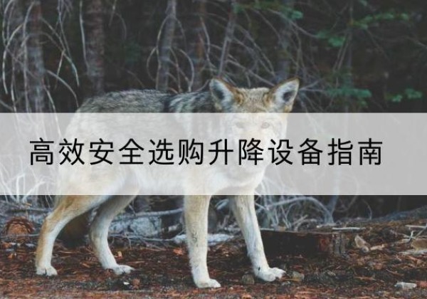 麻城升降货梯厂家推荐-*安全选购升降设备指南