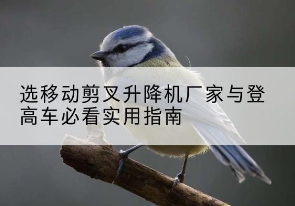 麻城电动升降机厂家-选移动剪叉升降机厂家与登高车必看实用指南