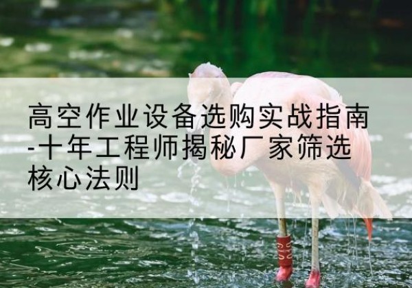 麻城剪叉式升降机厂家-高空作业设备选购实战指南-十年工程师揭秘厂家筛选核心法则
