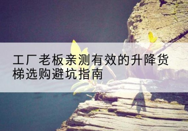 麻城升降货梯怎么选-工厂老板亲测有效的升降货梯选购避坑指南